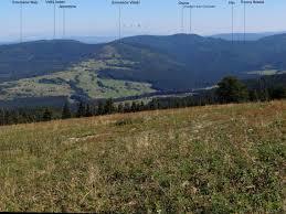 Oszus